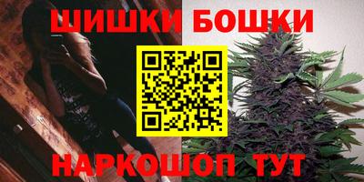 гашик Будённовск