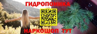 гашик Будённовск