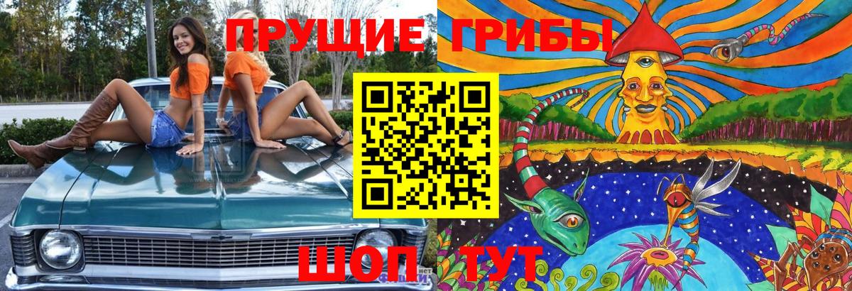Галлюциногенные грибы прущие грибы  Вход с VPN  Рассказово 