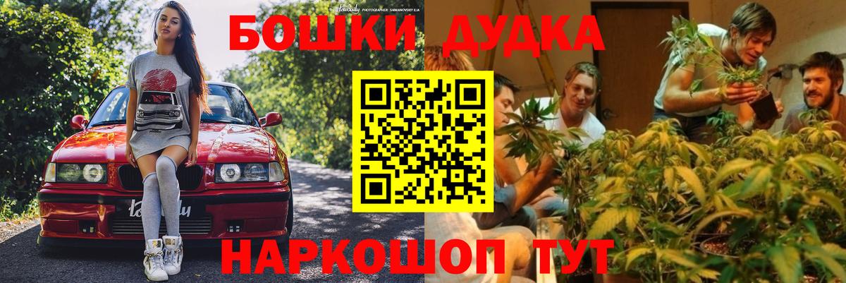 Бошки Шишки MAZAR Рассказово