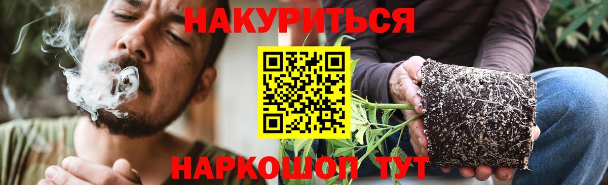 Шишки марихуана сатива  Конопля ГИДРОПОН  Рассказово  Бошки марихуана LSD WEED  Вход с VPN  Бошки Шишки ГИДРОПОН 